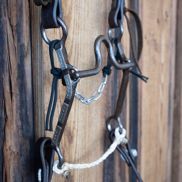 Headstalls & Rigs