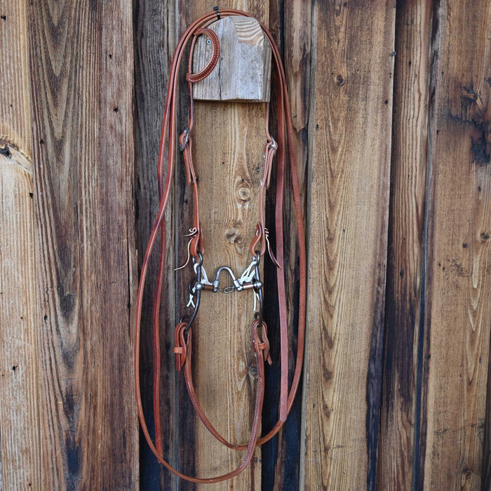 Kerry Kelley 50 Extended A.D. Correction Bridle Rig w/Single Ear Headstall