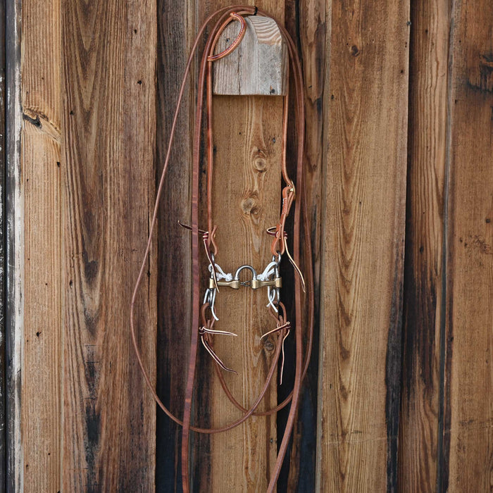 Cow Horse Supply Correction Bridle Rig w/All New Leather Tack - Rigs Cow Horse Supply