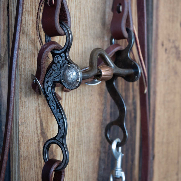 Headstalls & Rigs