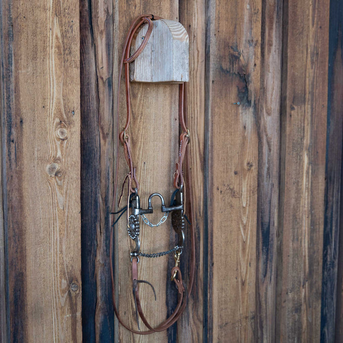 Bill Hill Correction Bridle Rig w/All New Leather