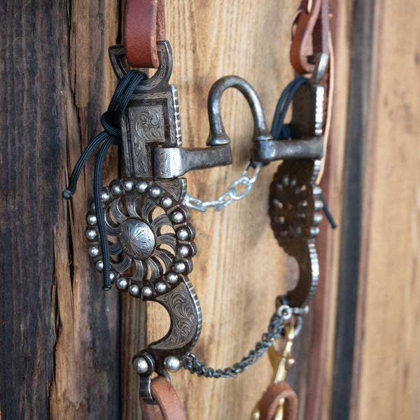 Headstalls & Rigs