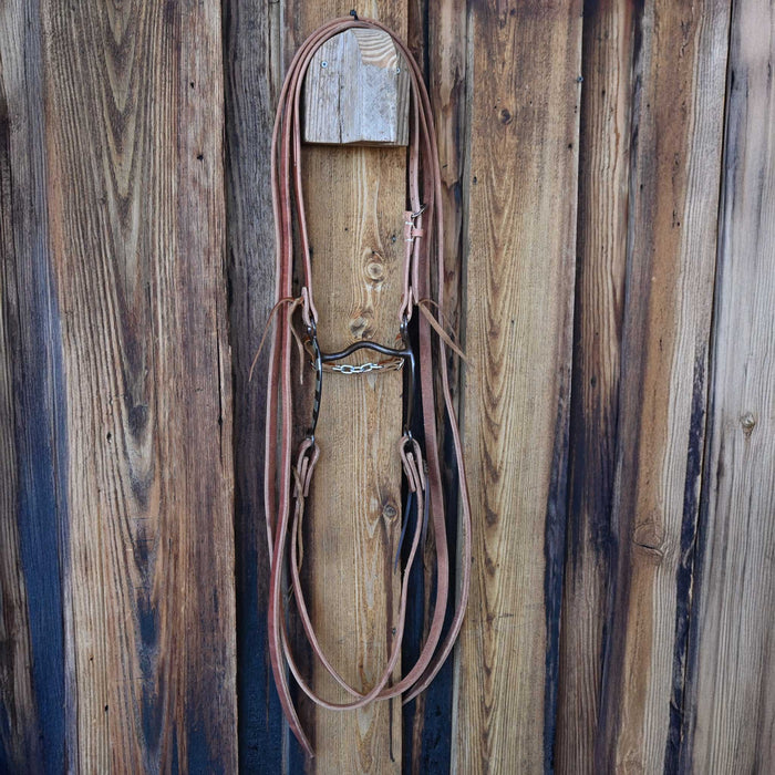 Jeff Payne Low Port Bridle Rig w/All New Leather