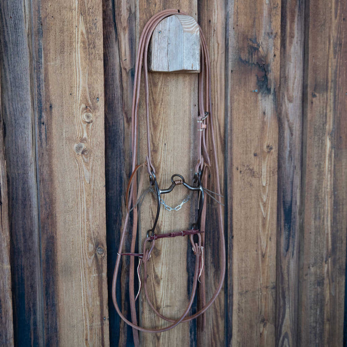 Kerry Kelley 144 Bridle Rig w/All New Leather