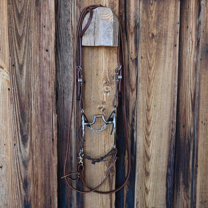 Josh Ownbey Slow Twist Hinge Port Bridle Rig w/Single Ear Headstall