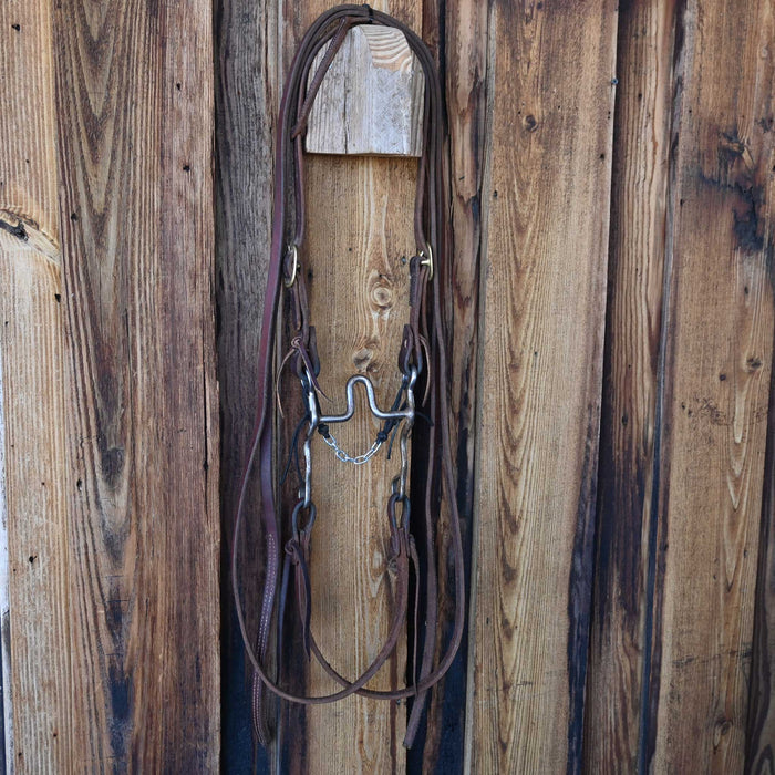 Collins Solid Port Bridle Rig w/Single Ear Headstall