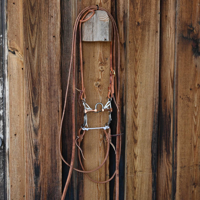 Professional's Choice Correction Bridle Rig w/All New Leather