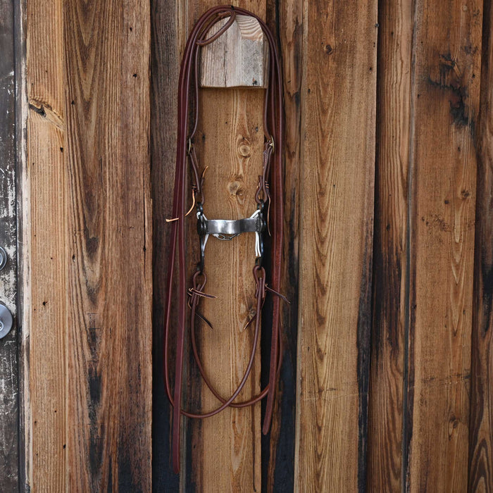JD Rutledge Bridle Rig w/All New Leather