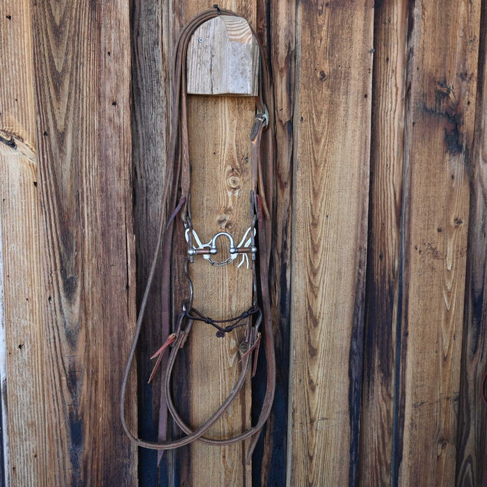 Kerry Kelley 02S 20 Correction Bridle Rig w/Split Ear Headstall