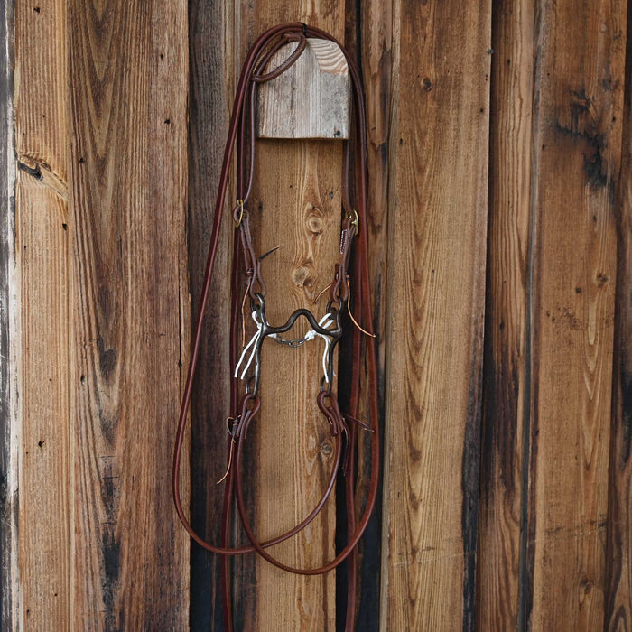 Stockard Solid Port Bridle Rig w/All New Leather