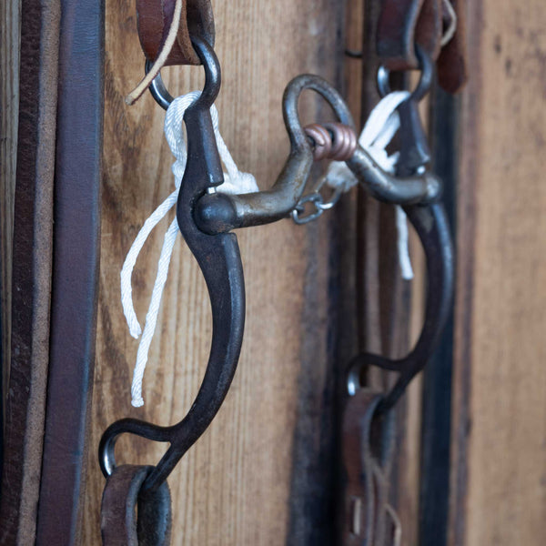 Headstalls & Rigs