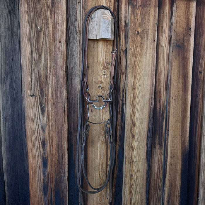 Daryl Davis C-Port Bridle Rig w/Split Ear Headstall