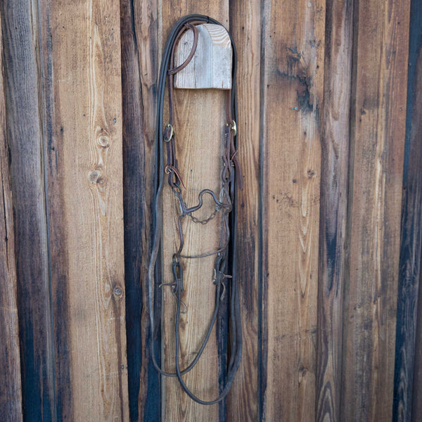 Headstalls & Rigs