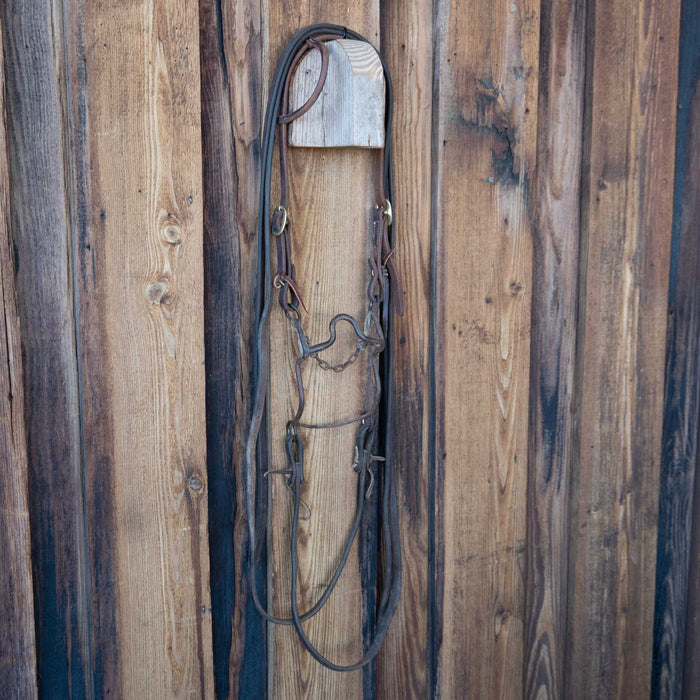 Daryl Davis Solid Port Bridle Rig w/Single Ear Headstall