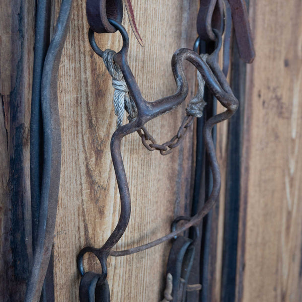 Headstalls & Rigs