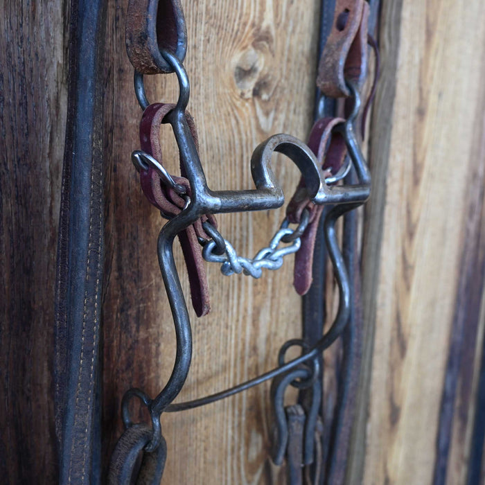 Daryl Davis C-Port Bridle Rig w/Split Ear Headstall
