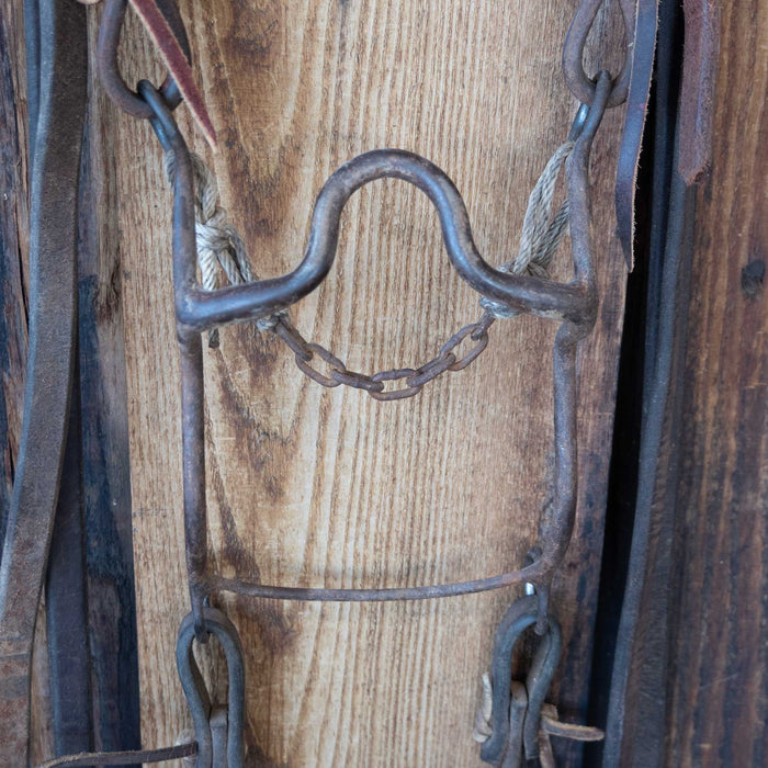 Daryl Davis Solid Port Bridle Rig w/Single Ear Headstall