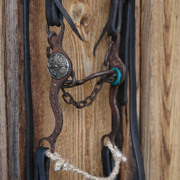 Petska Ported Chain Bridle Rig w/Single Ear Headstall