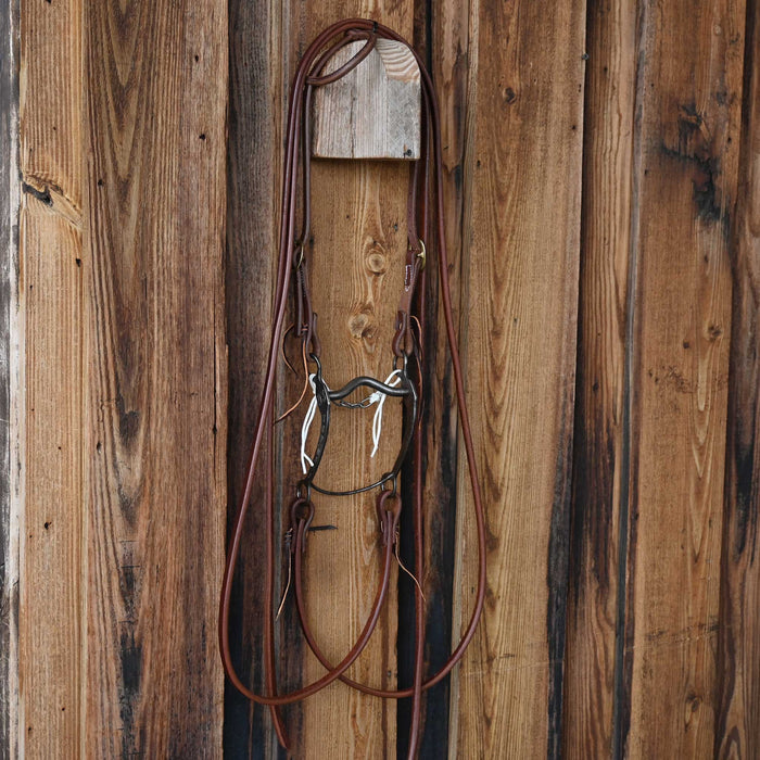 Daryl Davis Solid Port Bridle Rig w/All New Leather