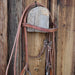 David Farkas O-Ring Snaffle Bridle Rig w/Browband Headstall Tack - Rigs David Farkas