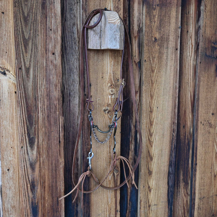 Mike Beers Ported Chain Bridle Rig w/Single Ear Headstall