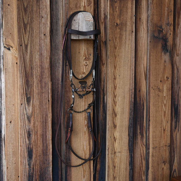 Early 1900's Spade Bridle Rig w/W.L. Meyers Headstall