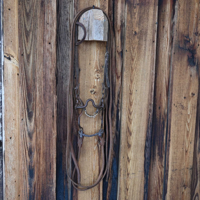 Solid Port Bridle Rig w/Single Ear Headstall