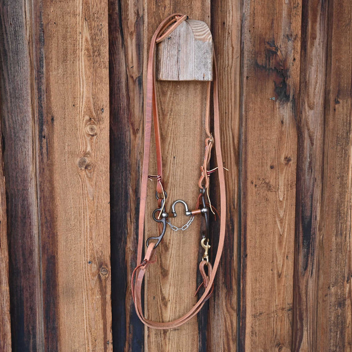 Kerry Kelley 50 20 Correction Bridle Rig w/All New Leather