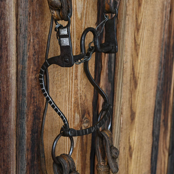 Headstalls & Rigs