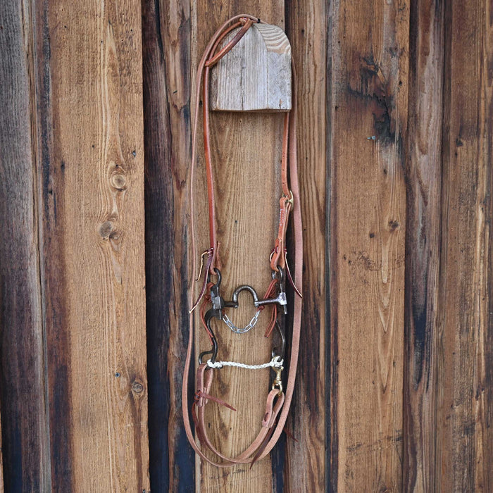 Campbell Correction Bridle Rig w/All New Leather Tack - Rigs Campbell