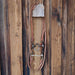 Campbell Correction Bridle Rig w/All New Leather Tack - Rigs Campbell
