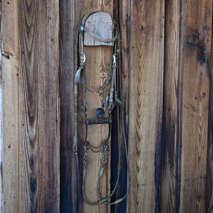 Vintage Rawhide Braided Bridle Rig with a Spade Bit