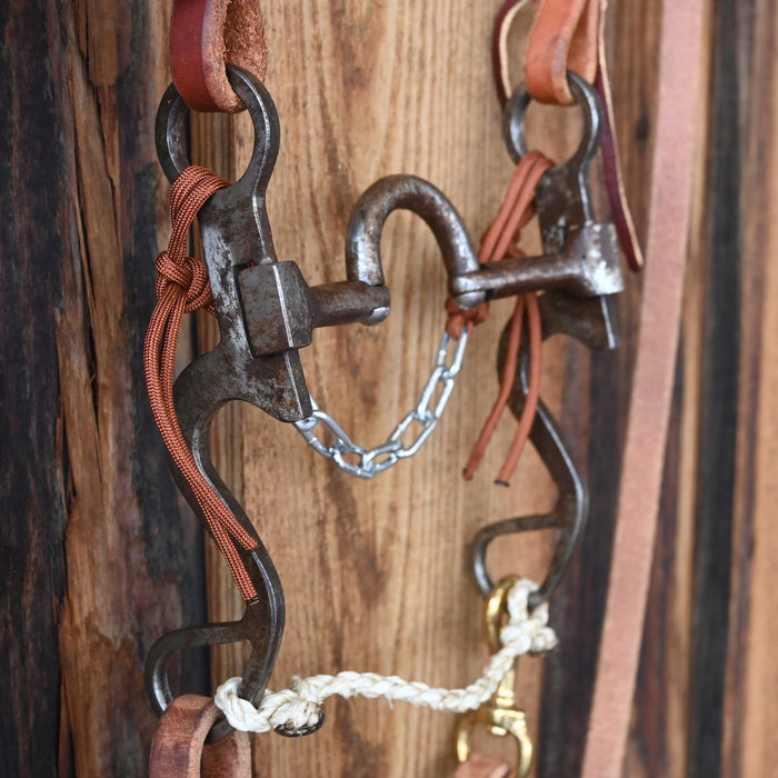 Campbell Correction Bridle Rig w/All New Leather Tack - Rigs Campbell