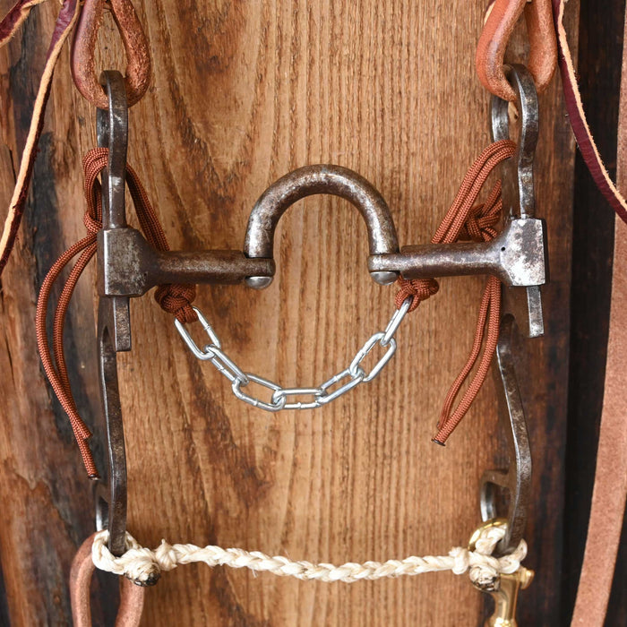 Campbell Correction Bridle Rig w/All New Leather Tack - Rigs Campbell