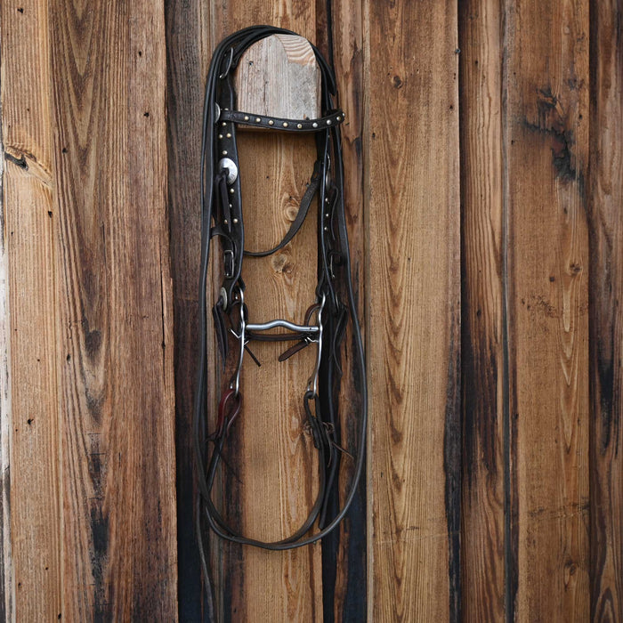 Vintage Spotted Bridle Rig