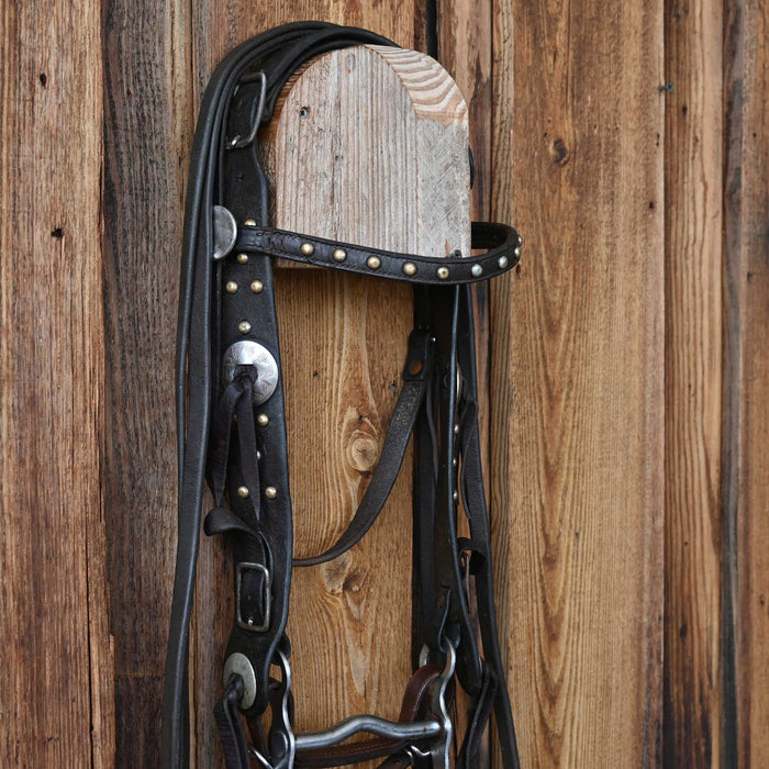 Vintage Spotted Bridle Rig
