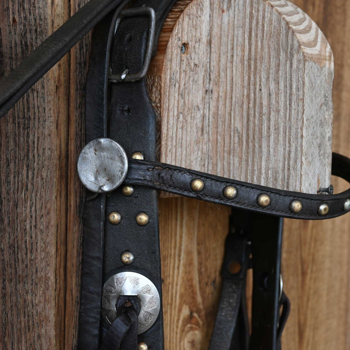 Vintage Spotted Bridle Rig