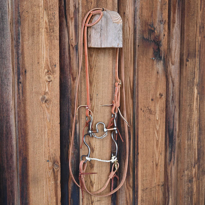 Kerry Kelley 10 10 Correction Bridle Rig w/All New Leather
