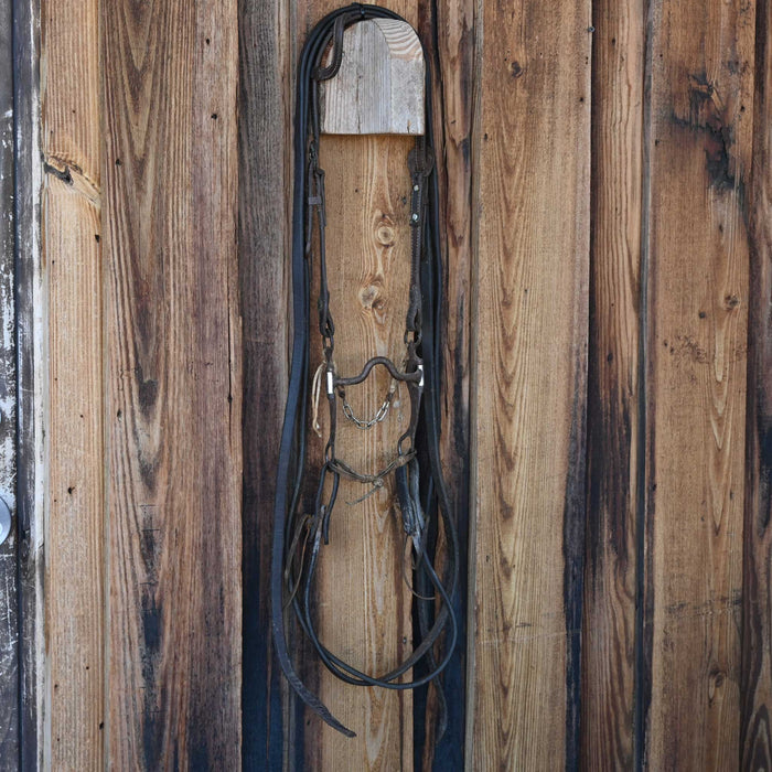 Dennis Moreland Solid Port Bridle Rig w/Single Ear Headstall