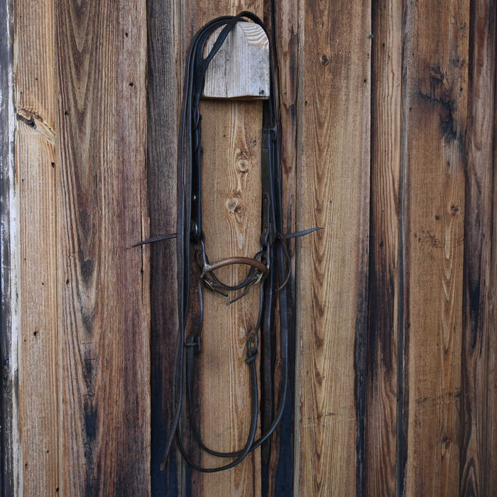 Vintage Mullen Bridle Rig