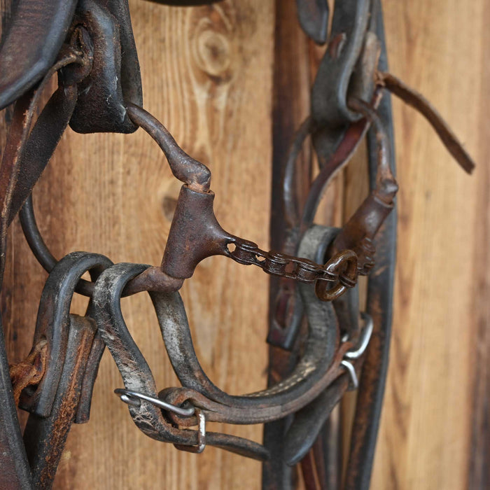 D-Ring Bike Chain Lifesaver Bridle Rig w/Browband Headstall