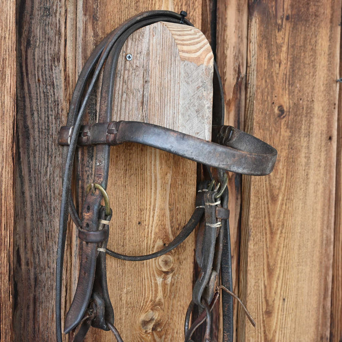 D-Ring Bike Chain Lifesaver Bridle Rig w/Browband Headstall