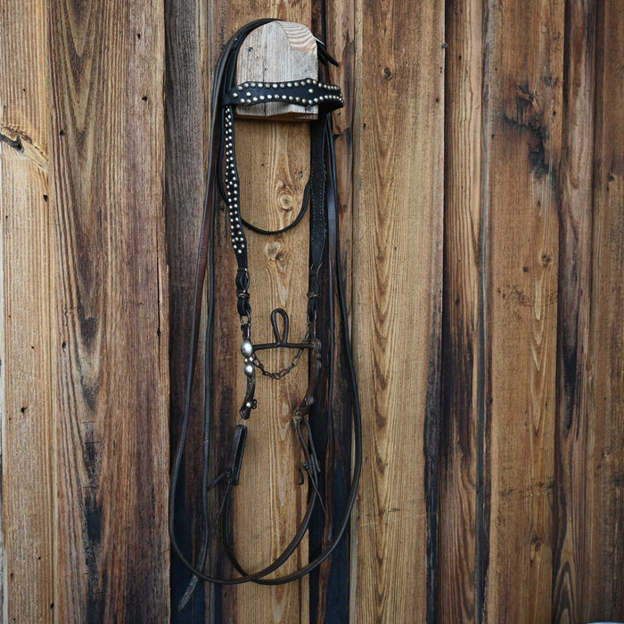 Vintage Silver Mexican Bit Bridle Rig