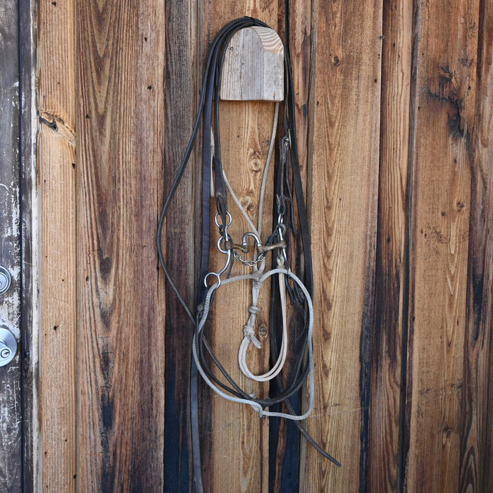 Correction Bridle Rig w/Split Ear Headstall