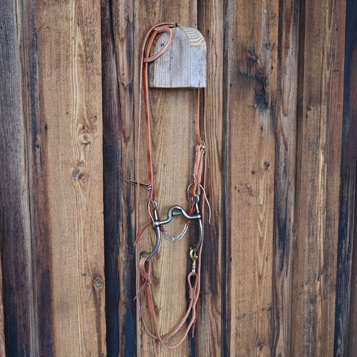 Kerry Kelley 65 Johnny Bridle Rig w/All New Leather