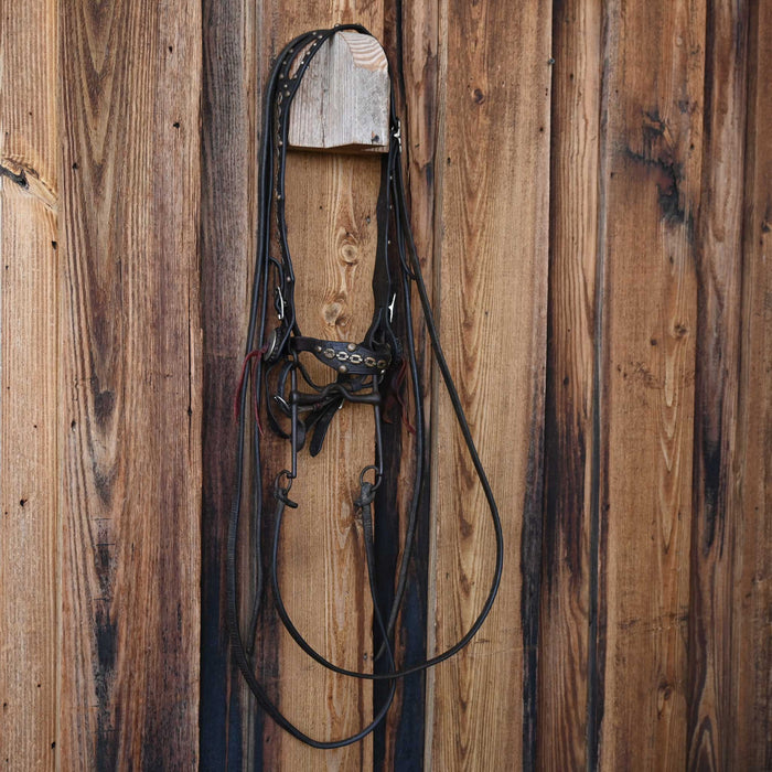 Vintage Bridle Rig w/Rare Design