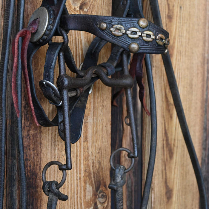 Vintage Bridle Rig w/Rare Design