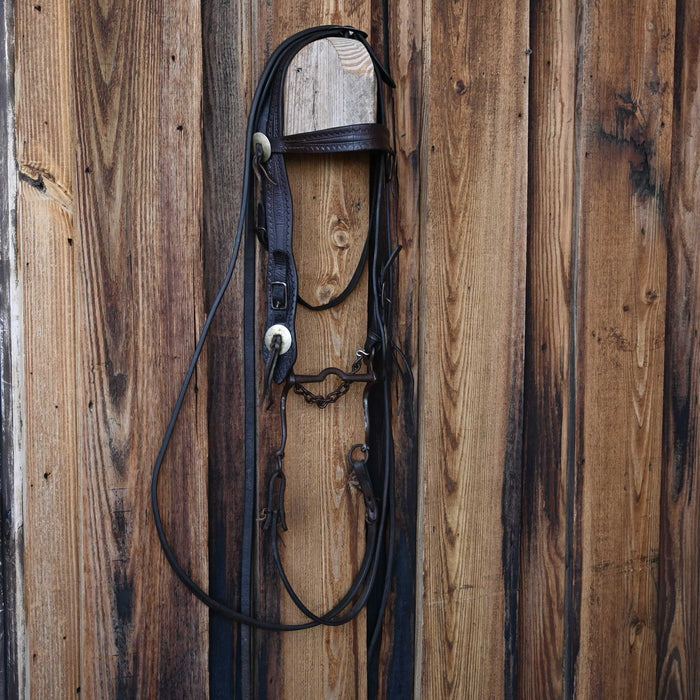 Vintage Kerwin Nelson Bridle Rig