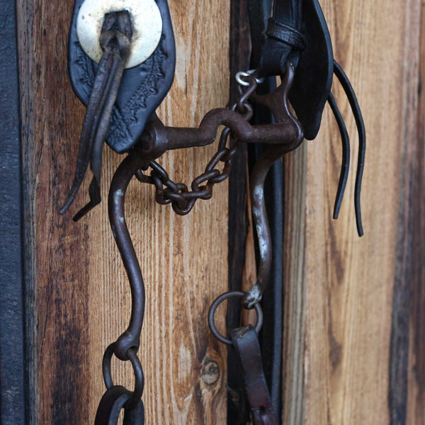 Headstalls & Rigs