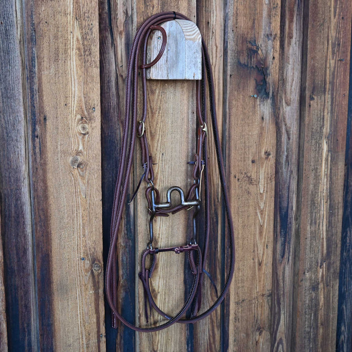 Daryl Davis Solid Port Bridle Rig w/All New Leather